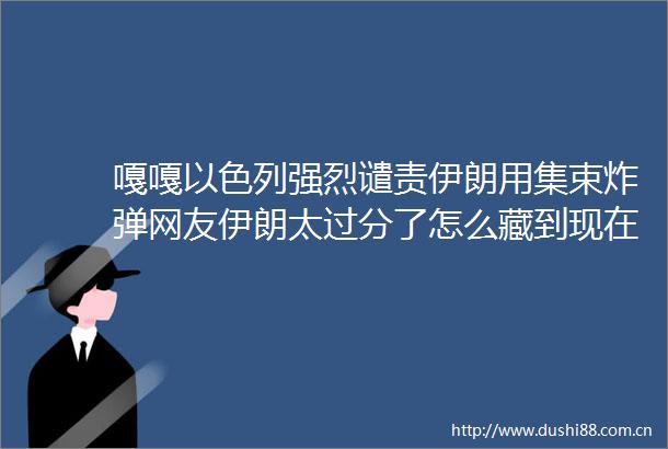 嘎嘎以色列强烈谴责伊朗用集束网友伊朗太过分了怎么藏到现在才用
