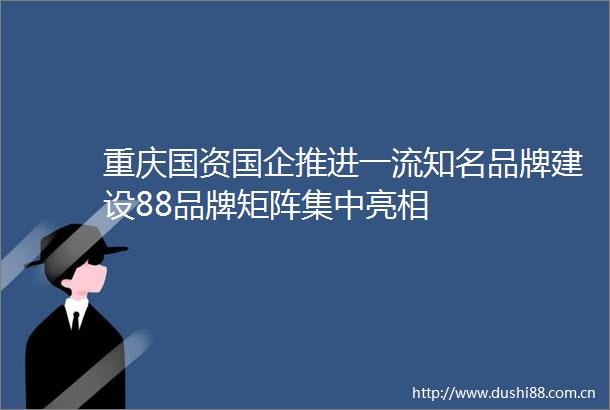 重庆国资国企推进一流知名品牌建设88品牌矩阵集中亮相