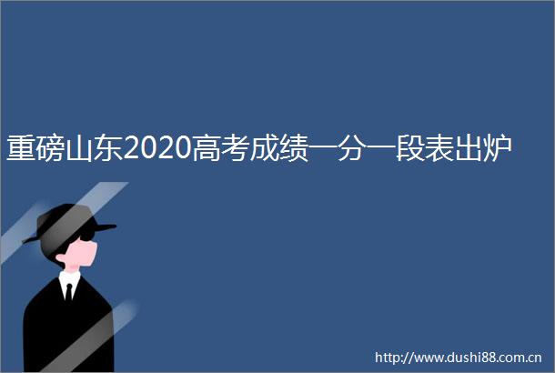 重磅山东2020高考成绩一分一段表出炉