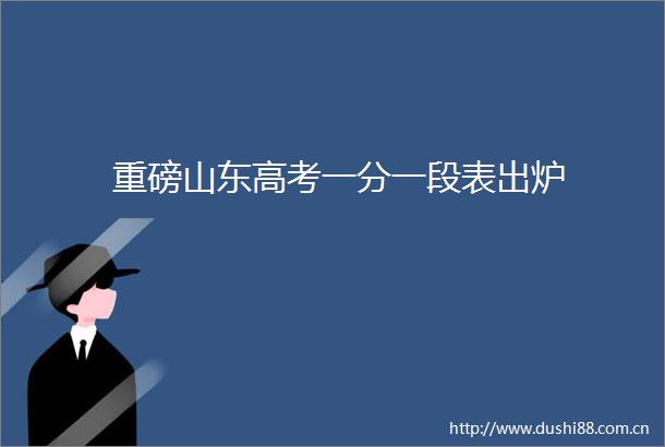 重磅山东高考一分一段表出炉