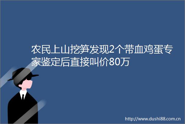 农民上山挖笋发现2个带血鸡蛋专家鉴定后直接叫价80万
