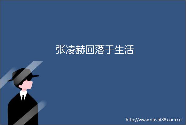 张凌赫回落于生活