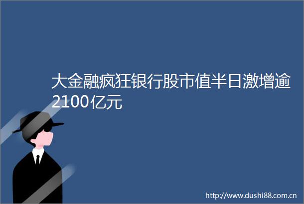 大金融疯狂银行股市值半日激增逾2100亿元