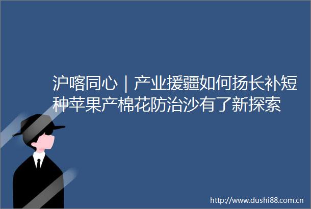 沪喀同心｜产业援疆如何扬长补短种苹果产棉花防治沙有了新探索