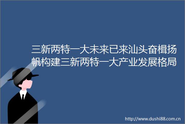 三新两特一大未来已来汕头奋楫扬帆构建三新两特一大产业发展格局