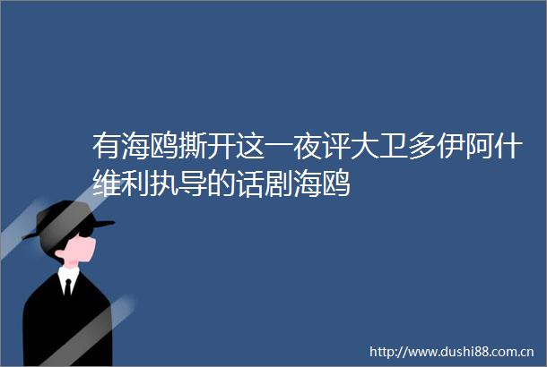 有海鸥撕开这一夜评大卫多伊阿什维利执导的话剧海鸥
