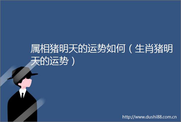 属相猪明天的运势如何（生肖猪明天的运势）
