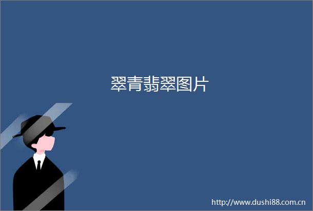 翠青翡翠图片