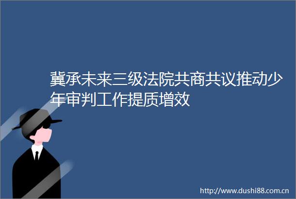 冀承未来三级共商共议推动少年审判工作提质增效
