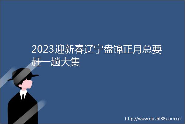 2023迎新春辽宁盘锦正月总要赶一趟大集
