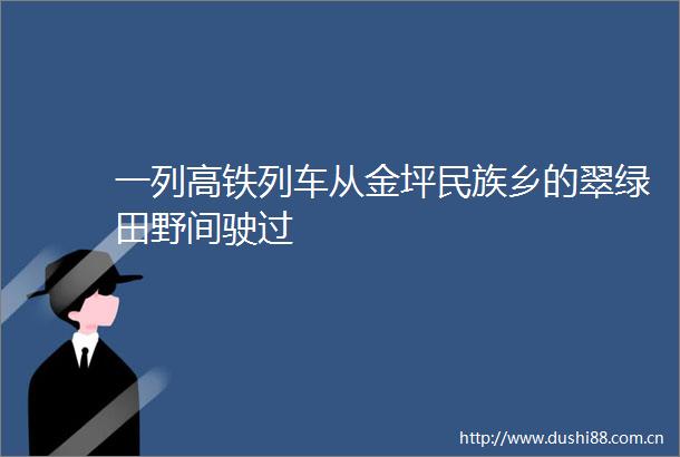 一列高铁列车从金坪民族乡的翠绿田野间驶过