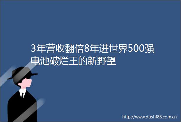 3年营收翻倍8年进世界500强电池破烂王的新野望