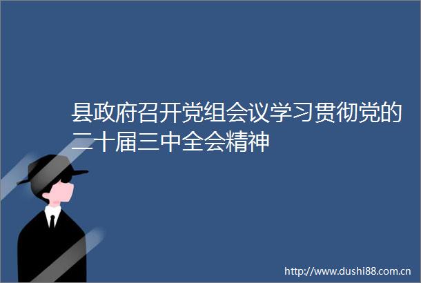 县召开党组会议学习贯彻党的二十届三中全会精神