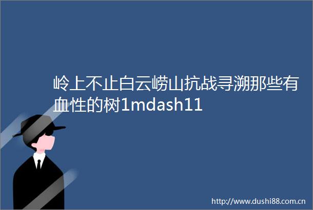 岭上不止白云崂山抗战寻溯那些有血性的树1mdash11