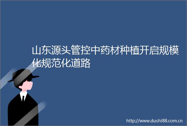 山东源头管控中药材种植开启规模化规范化道路