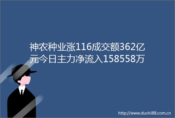 神农种业涨116成交额362亿元今日主力净流入158558万