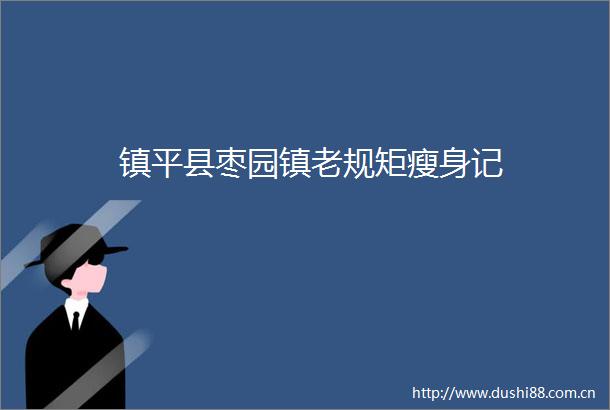 镇平县枣园镇老规矩瘦身记