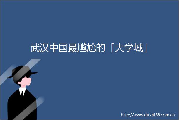 武汉最尴尬的「大学城」