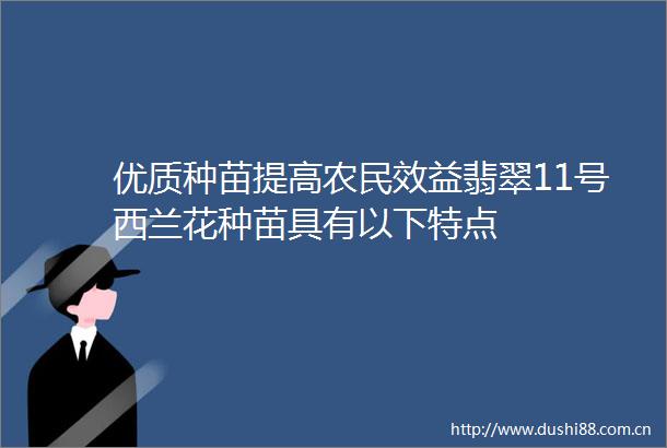 优质种苗提高农民效益翡翠11号西兰花种苗具有以下特点