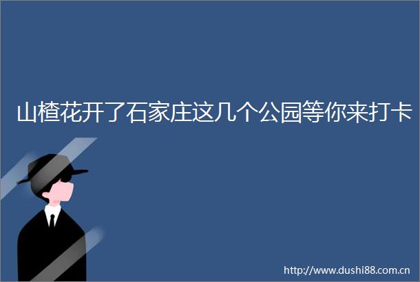 山楂花开了石家庄这几个公园等你来打卡