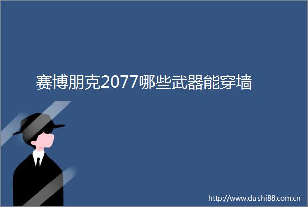 赛博朋克2077哪些武器能穿墙