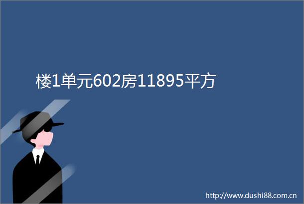 楼1单元602房11895平方