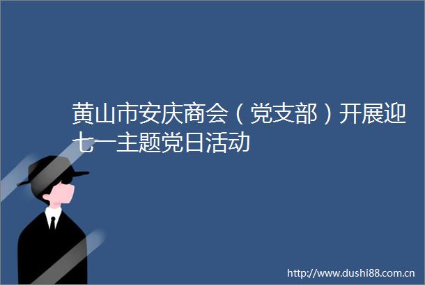 黄山市安庆商会（党支部）开展迎七一主题党日活动
