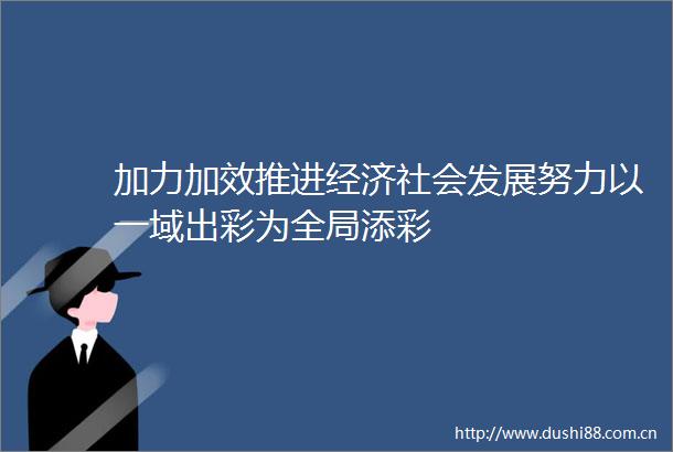 加力加效推进经济社会发展努力以一域出彩为全局添彩