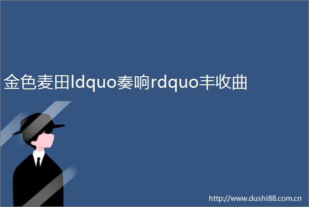 金色麦田ldquo奏响rdquo丰收曲