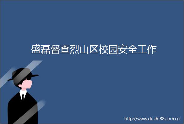 盛磊督查烈山区校园安全工作