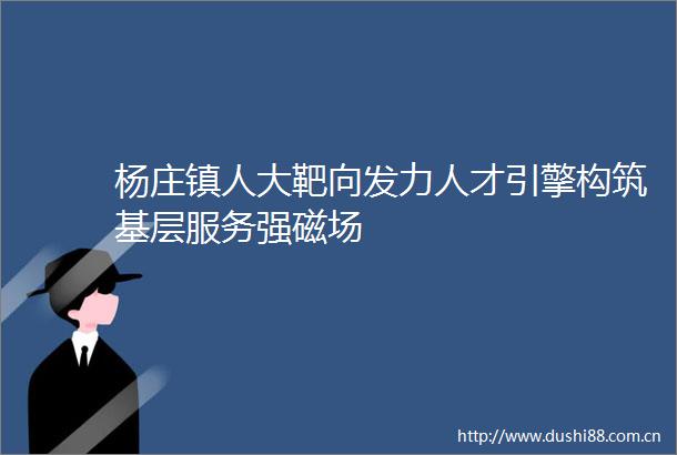 杨庄镇人大靶向发力人才引擎构筑基层服务强磁场