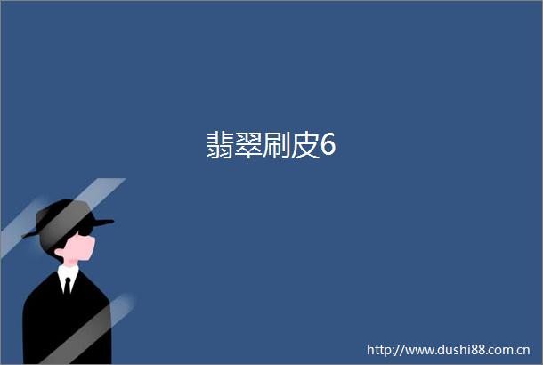 翡翠刷皮6