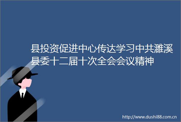 县投资促进中心传达学习濉溪县委十二届十次全会会议精神