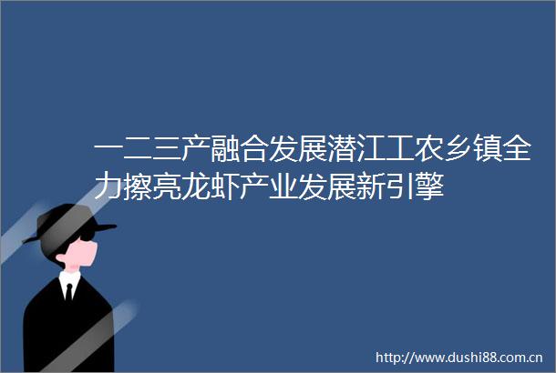 一二三产融合发展潜江工农乡镇全力擦亮龙虾产业发展新引擎