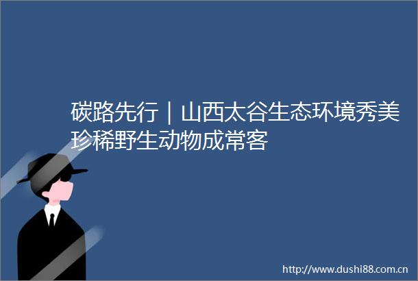 碳路先行｜山西太谷生态环境秀美珍稀野生动物成常客
