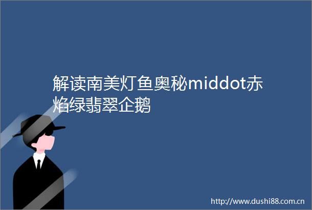 解读南美灯鱼奥秘middot赤焰绿翡翠企鹅