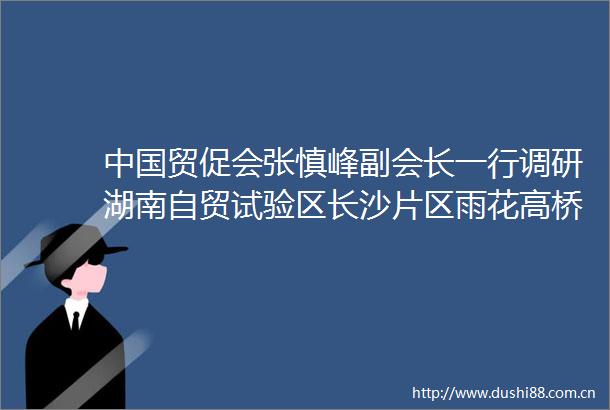 贸促会张慎峰副会长一行调研湖南自贸试验区长沙片区雨花高桥区块