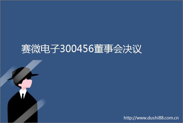 赛微电子300456董事会决议