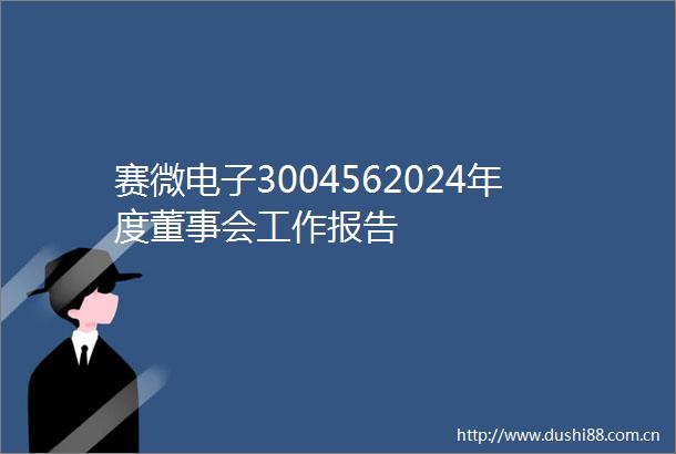赛微电子3004562024年度董事会工作报告