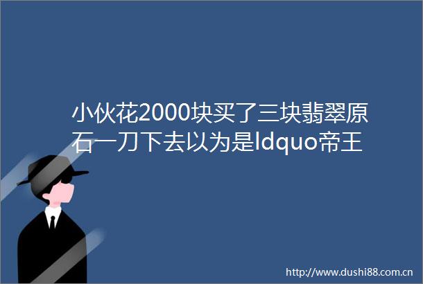 小伙花2000块买了三块翡翠原石一刀下去以为是ldquo帝王绿rdquo