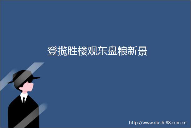 登揽胜楼观东盘粮新景