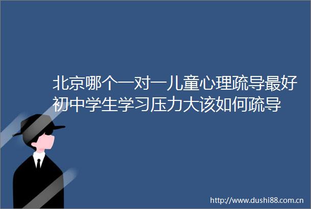 北京哪个一对一儿童心理疏导最好初中学生学习压力大该如何疏导
