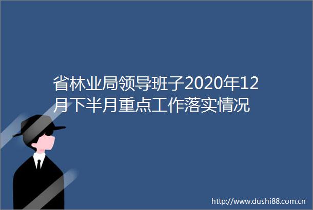 省林业局班子2020年12月下半月重点工作落实情况