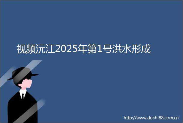 视频沅江2025年第1号洪水形成