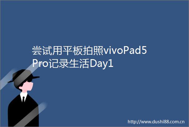 尝试用平板拍照vivoPad5Pro记录生活Day1
