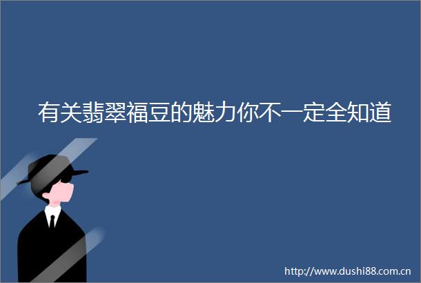 有关翡翠福豆的魅力你不一定全知道