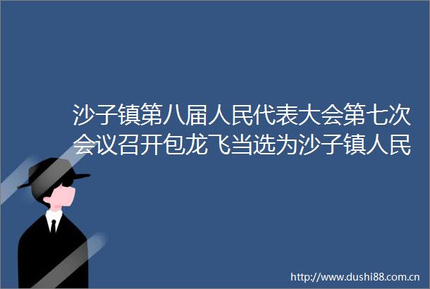 沙子镇第八届代表大会第七次会议召开包龙飞当选为沙子镇副镇长