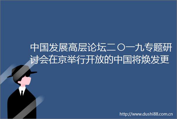 发展高层论坛二〇一九专题研讨会在京举行开放的将焕发更强活力
