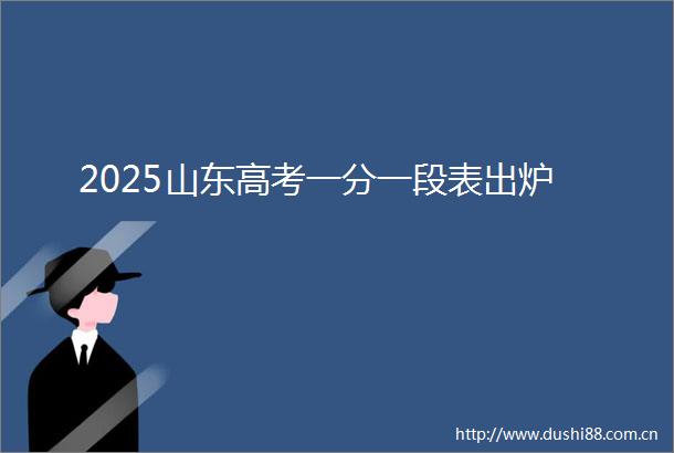 2025山东高考一分一段表出炉