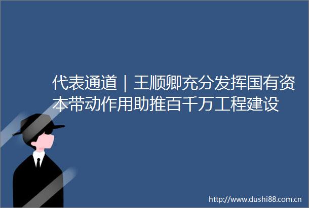 代表通道｜王顺卿充分发挥国有资本带动作用助推百千万工程建设